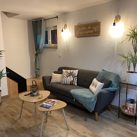 «au Renard»,proche D'europa-park,strasbourg,colmar شقة